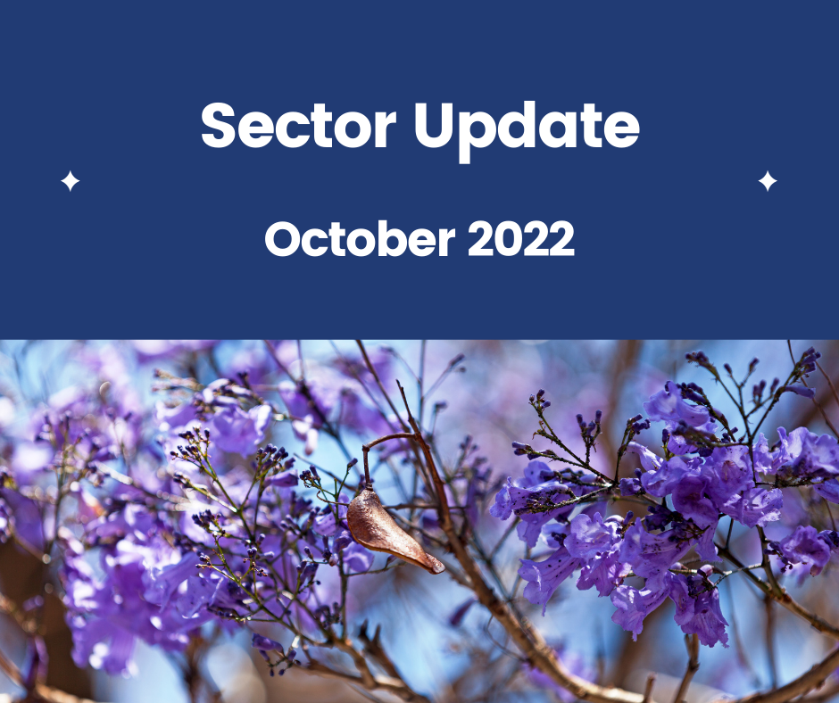 Sector Update – October 2022